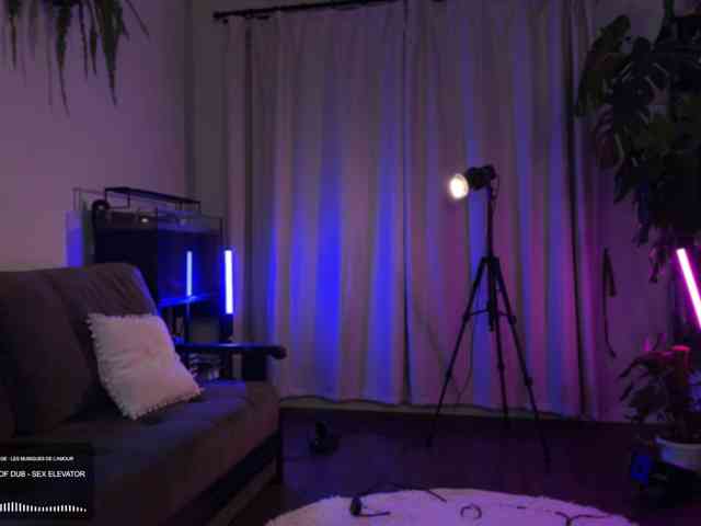 SOVA_tut webcam