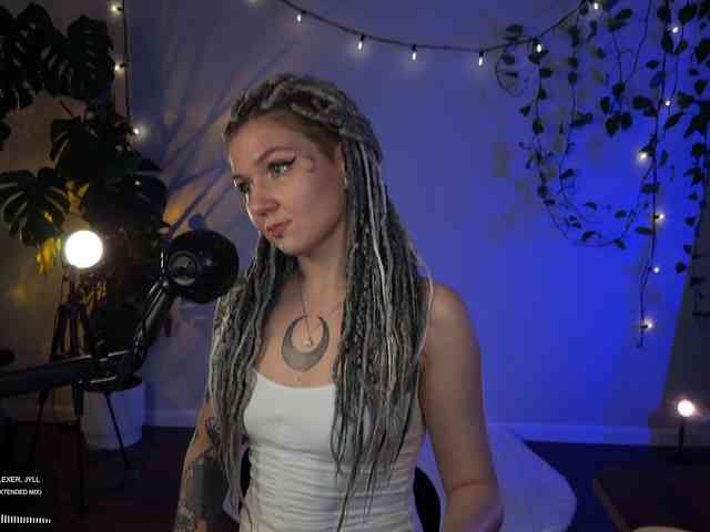 SOVA_tut webcam