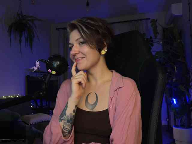SOVA_tut webcam