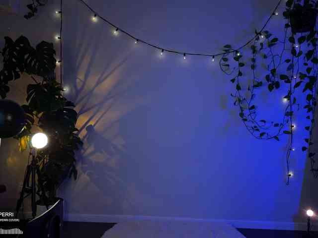 SOVA_tut webcam