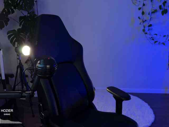 SOVA_tut webcam