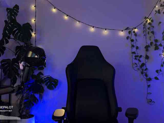 SOVA_tut webcam