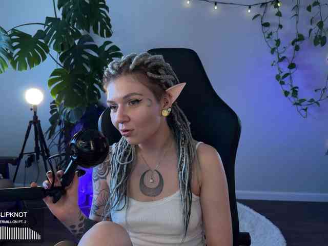 SOVA_tut webcam