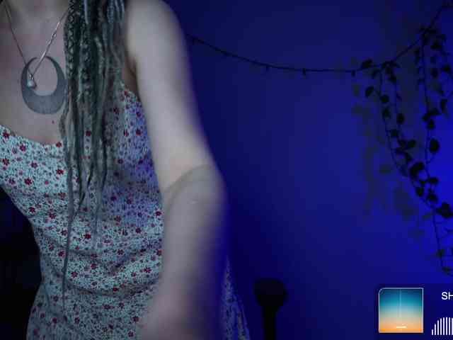 SOVA_tut webcam