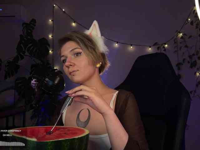 SOVA_tut webcam