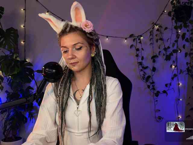 SOVA_tut webcam