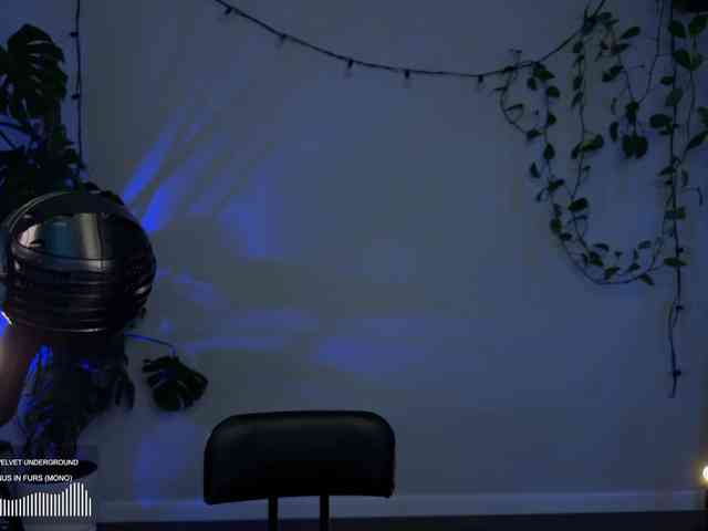 SOVA_tut webcam