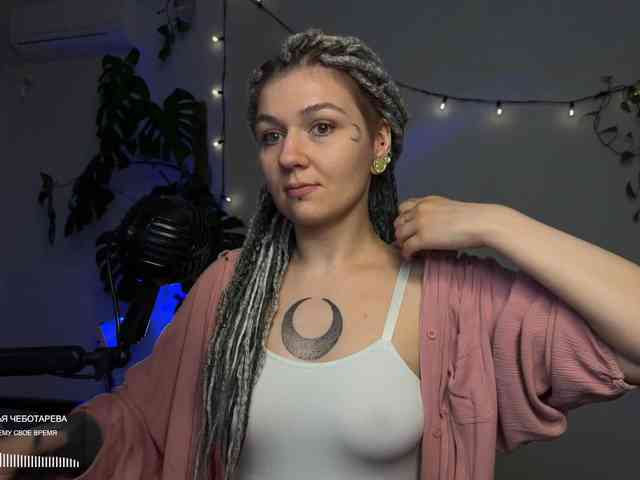 SOVA_tut webcam