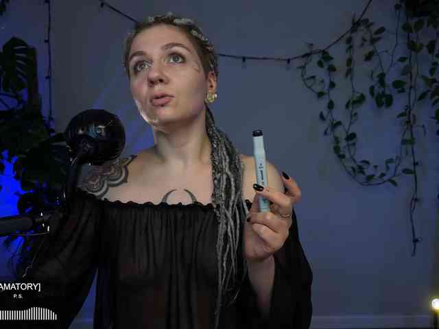 SOVA_tut webcam