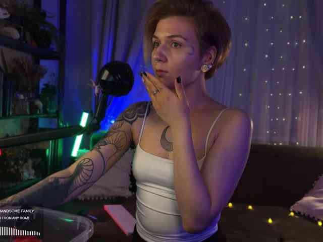 SOVA_tut webcam