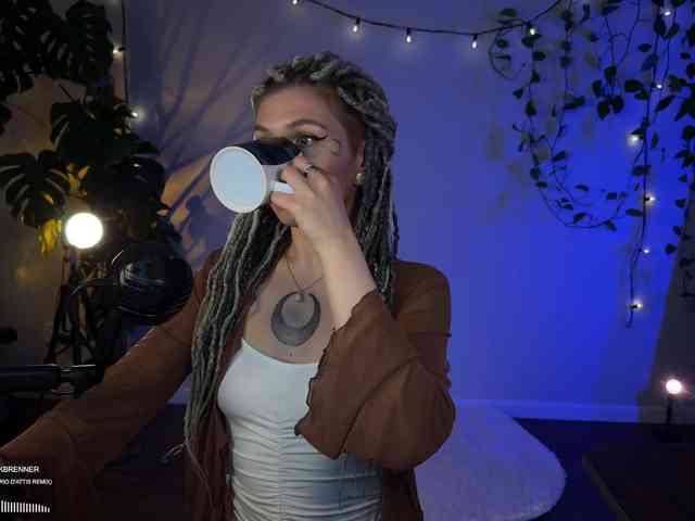 SOVA_tut webcam