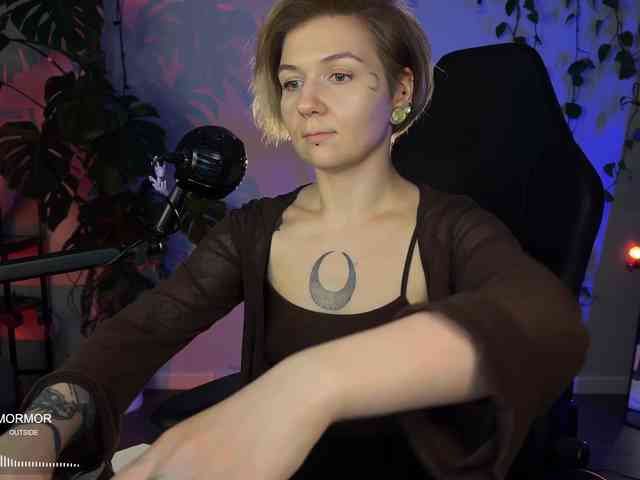 SOVA_tut webcam