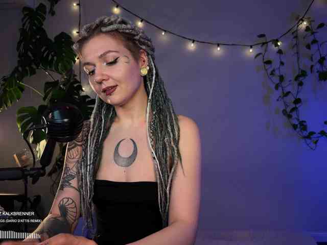 SOVA_tut webcam