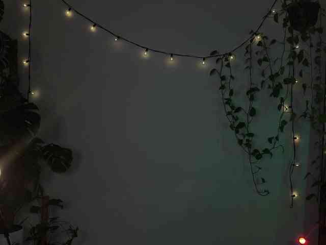 SOVA_tut webcam