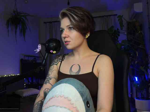 SOVA_tut webcam