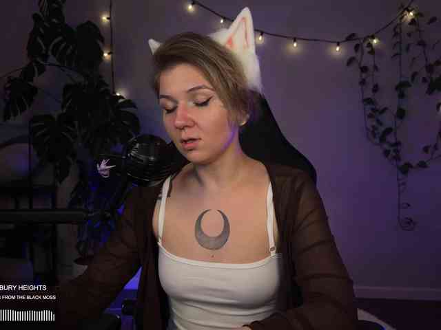 SOVA_tut webcam