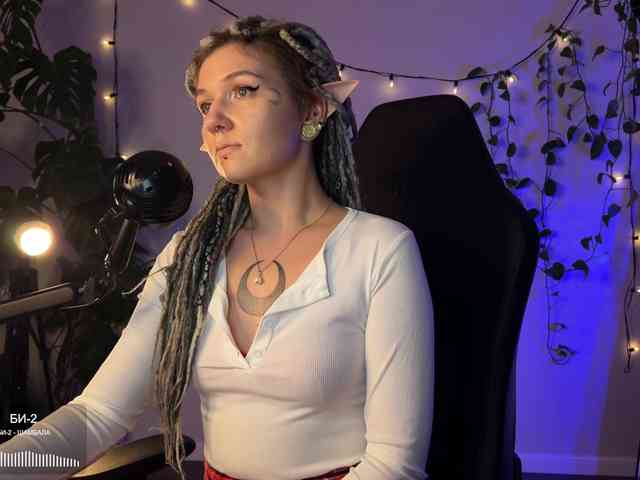 SOVA_tut webcam