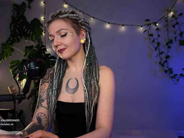 SOVA_tut webcam