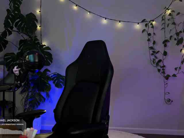 SOVA_tut webcam