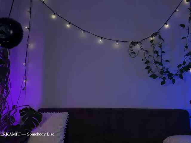 SOVA_tut webcam