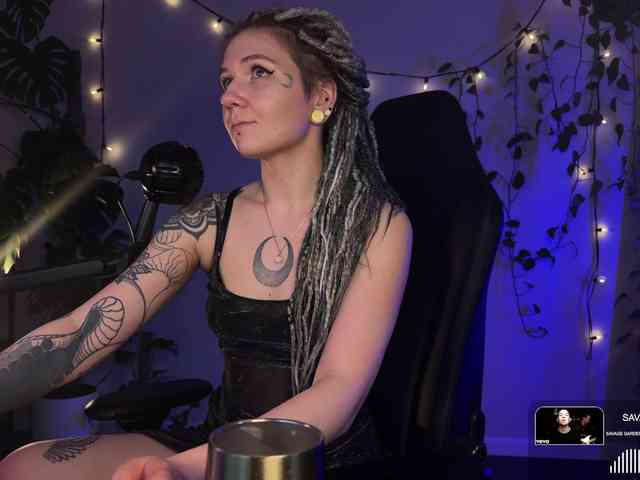 SOVA_tut webcam