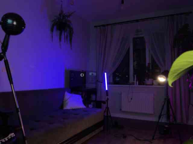 SOVA_tut webcam