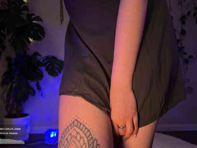 SOVA_tut webcam