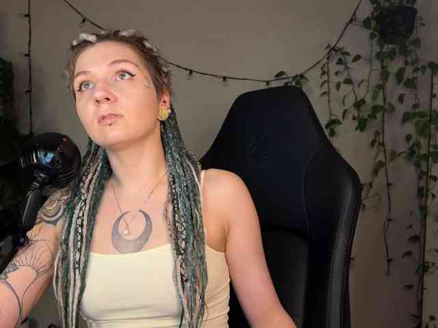 SOVA_tut webcam