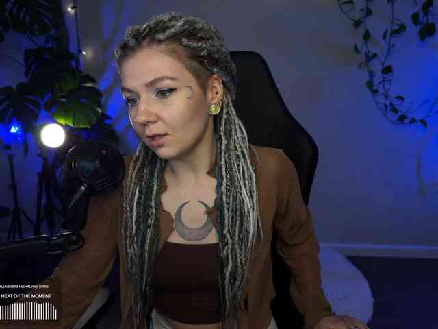SOVA_tut webcam