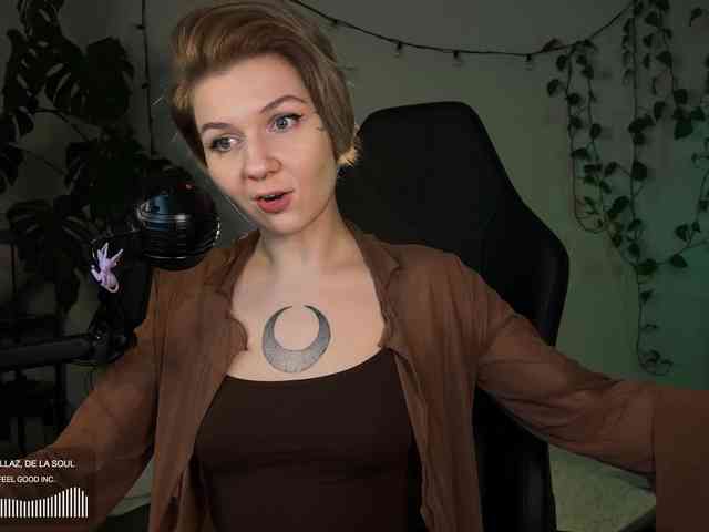 SOVA_tut webcam