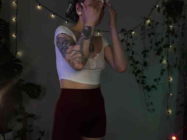 SOVA_tut webcam