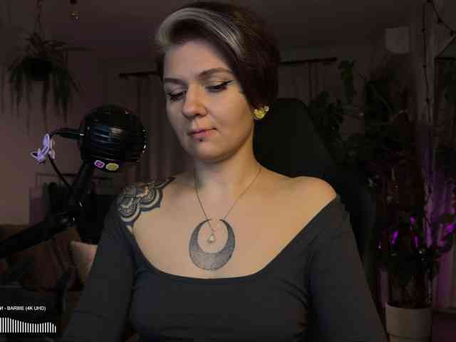 SOVA_tut webcam