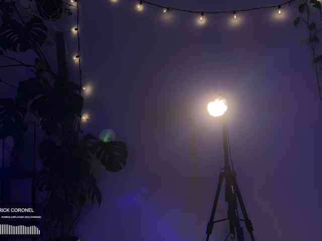 SOVA_tut webcam