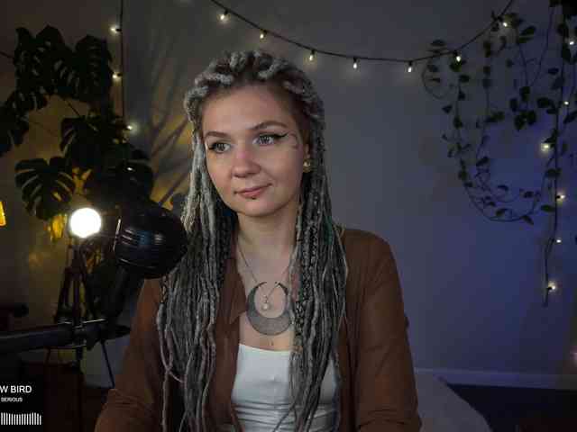 SOVA_tut webcam