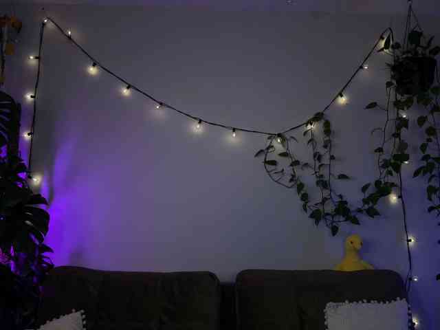 SOVA_tut webcam