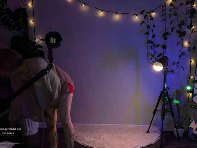 SOVA_tut webcam