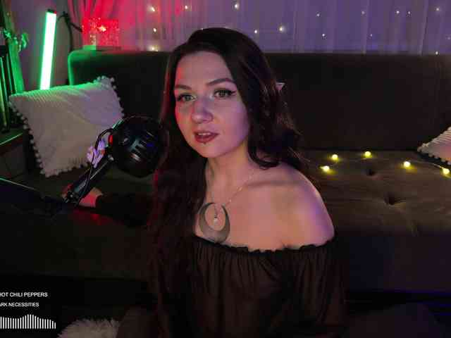SOVA_tut webcam