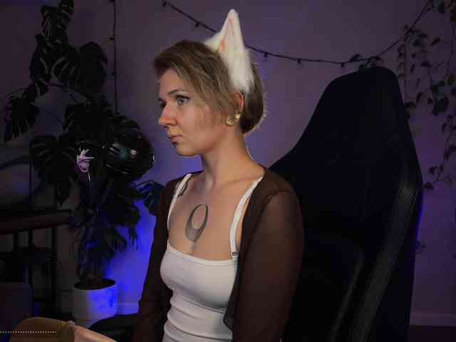 SOVA_tut webcam