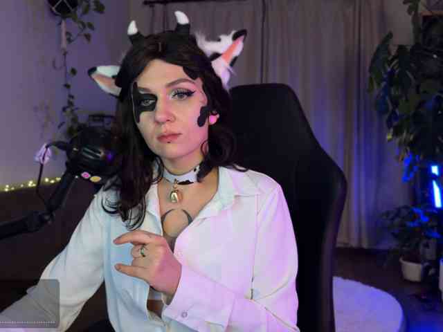 SOVA_tut webcam