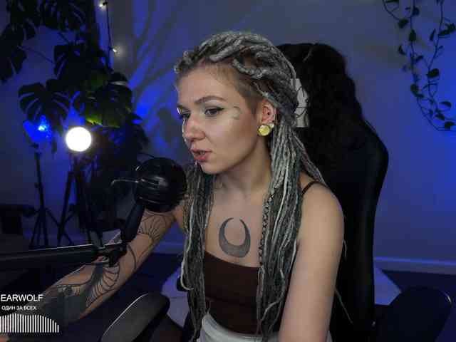 SOVA_tut webcam