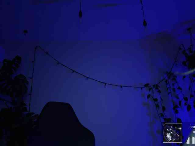 SOVA_tut webcam