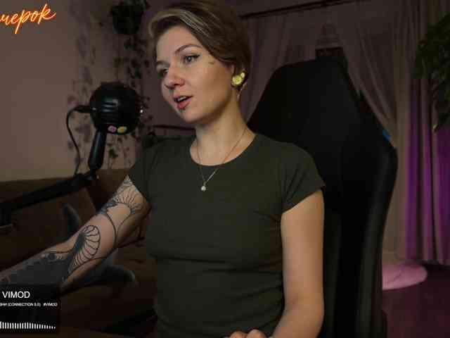 SOVA_tut webcam