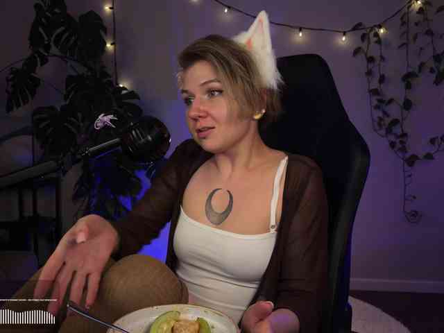 SOVA_tut webcam