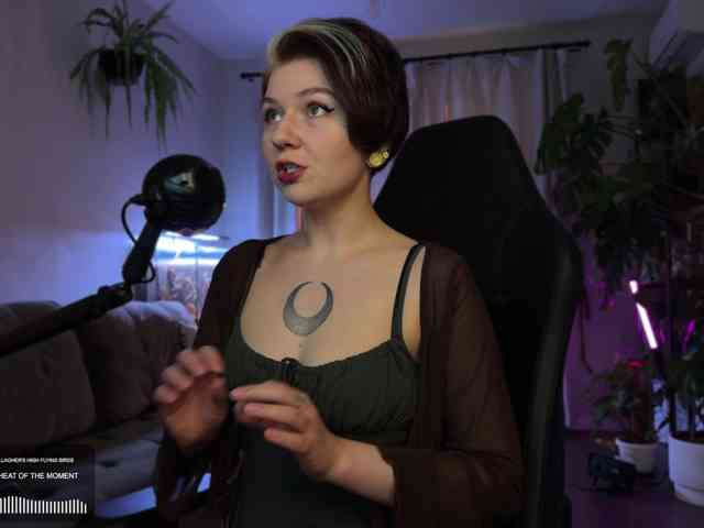 SOVA_tut webcam