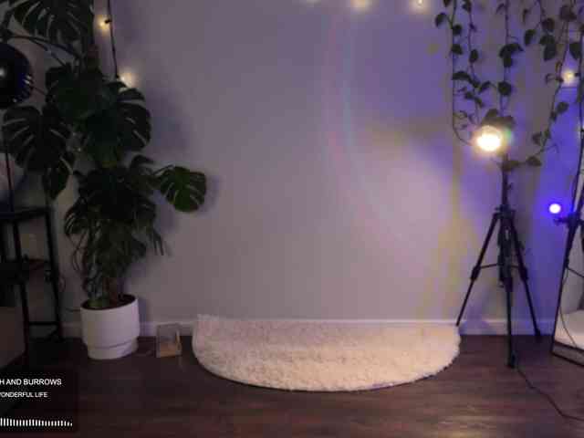 SOVA_tut webcam