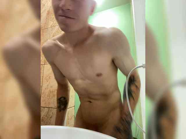 vinsesx