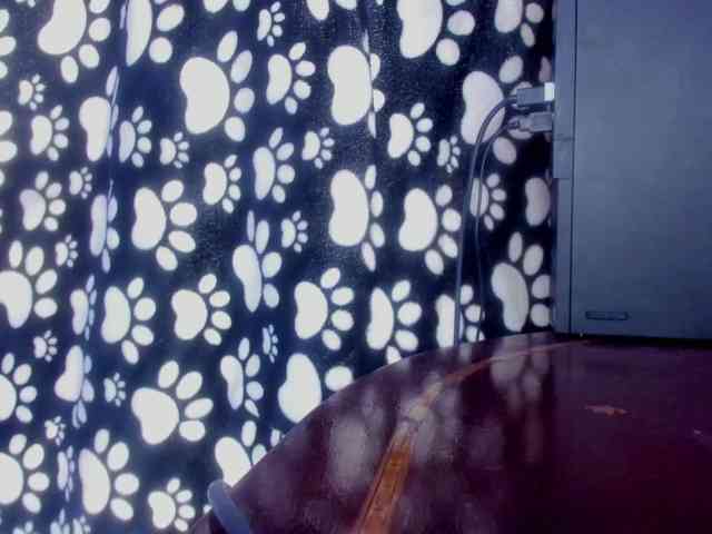 fierymichef webcam