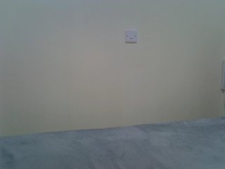Rein20's Live Webcam
