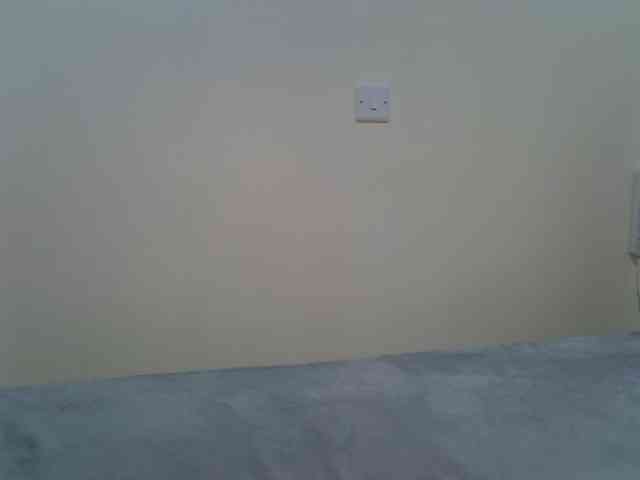 Rein20 webcam