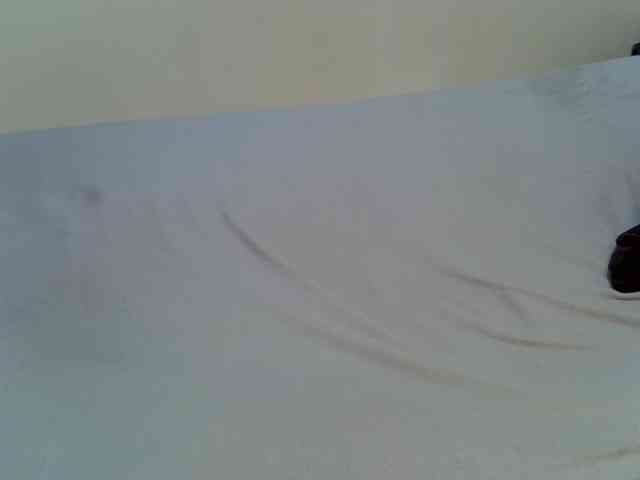 Rein20 webcam